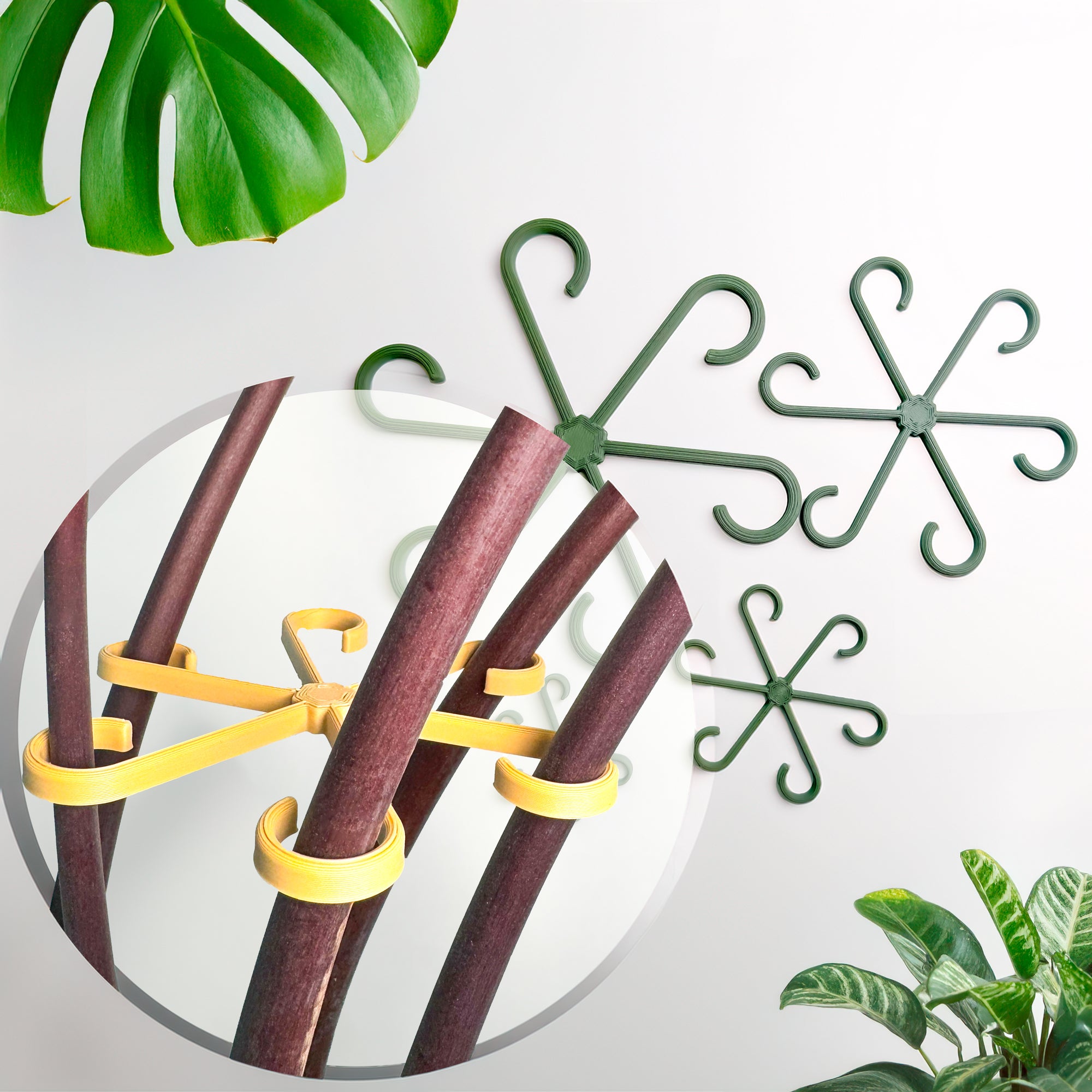 Plant Stem Supports – Peccole House
