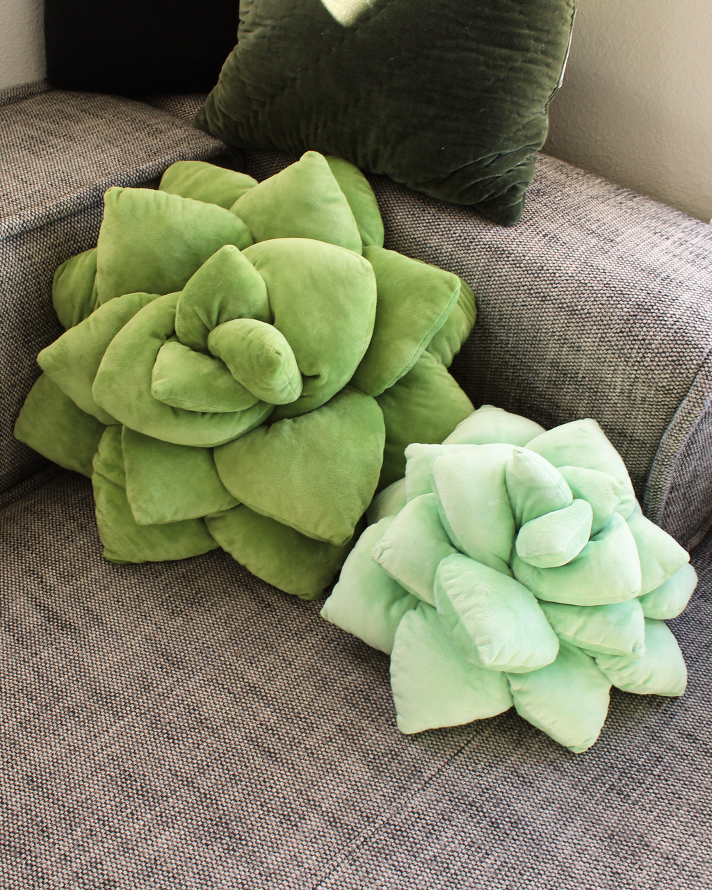 Big Pop Succulent® - Olive Green