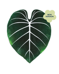 Gloriosum Giant Leaf Blanket