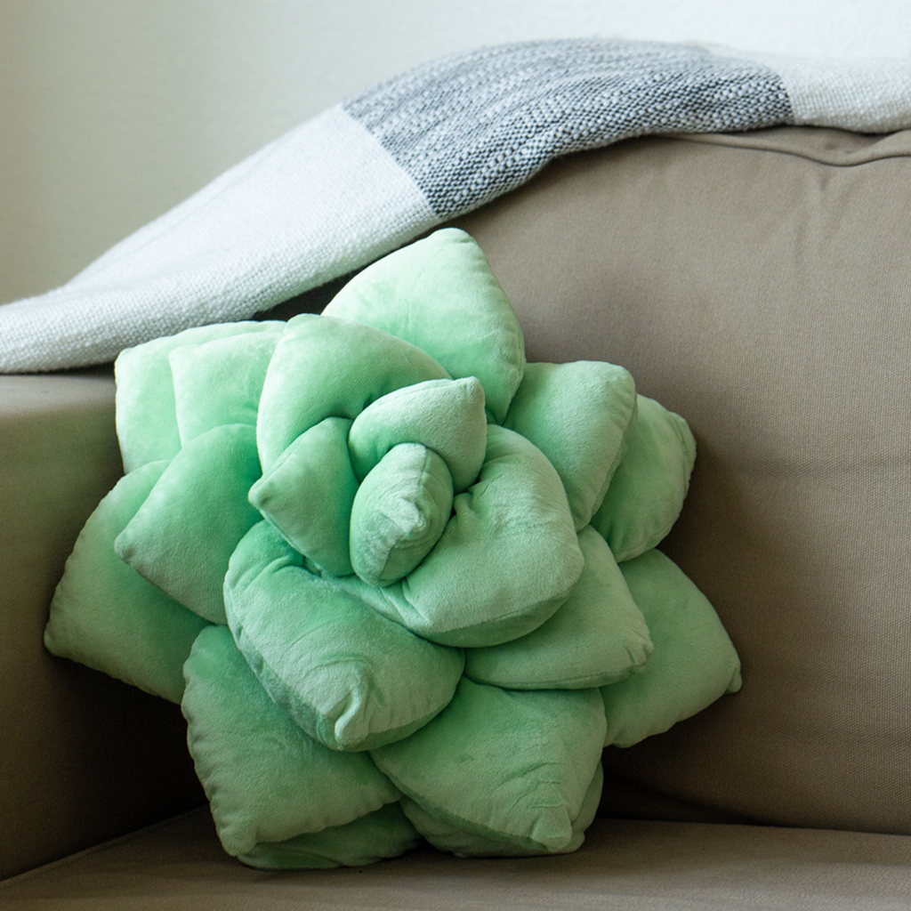 Lil' Pop Succulent®  - Sage Green