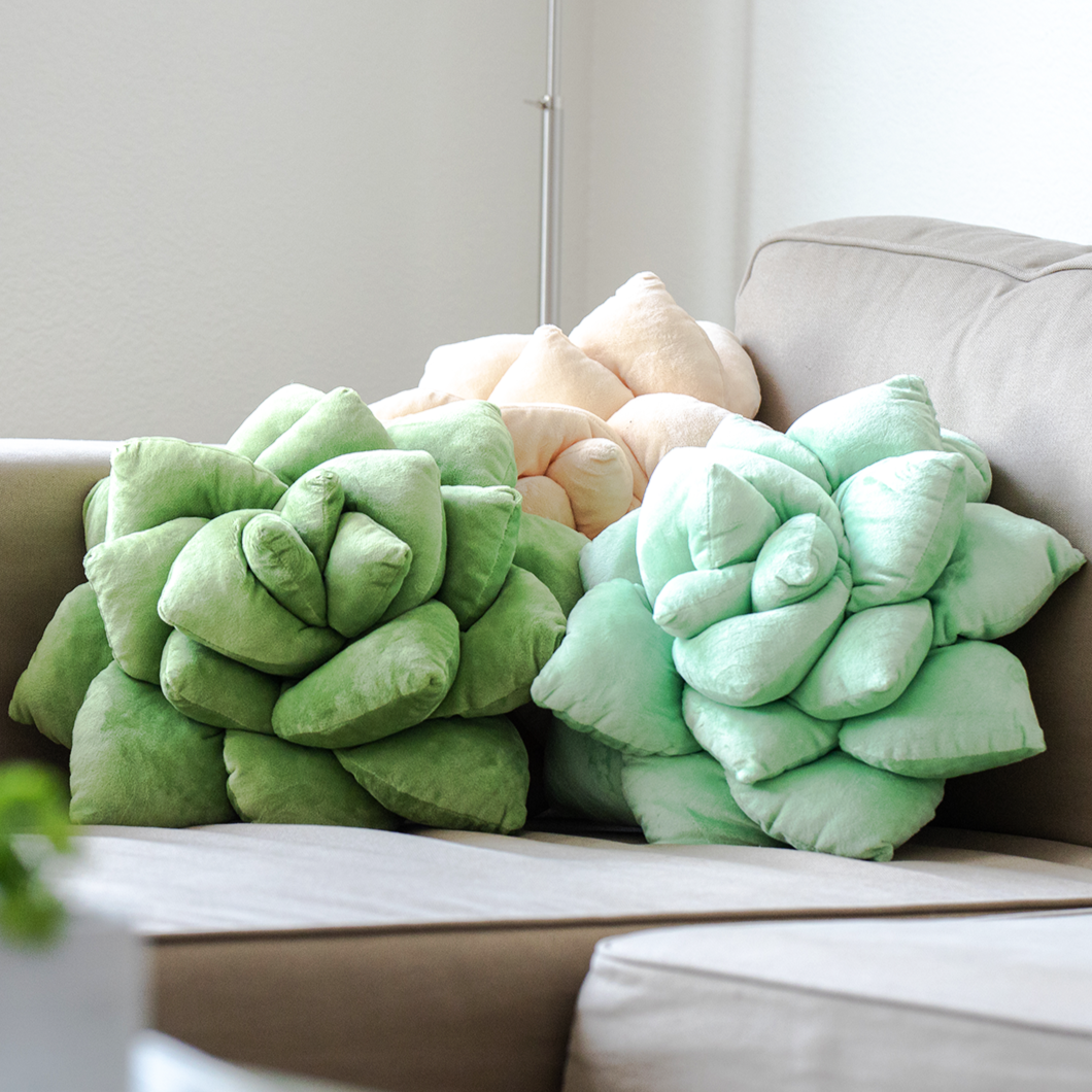 Lil' Pop Succulent®  - Olive Green