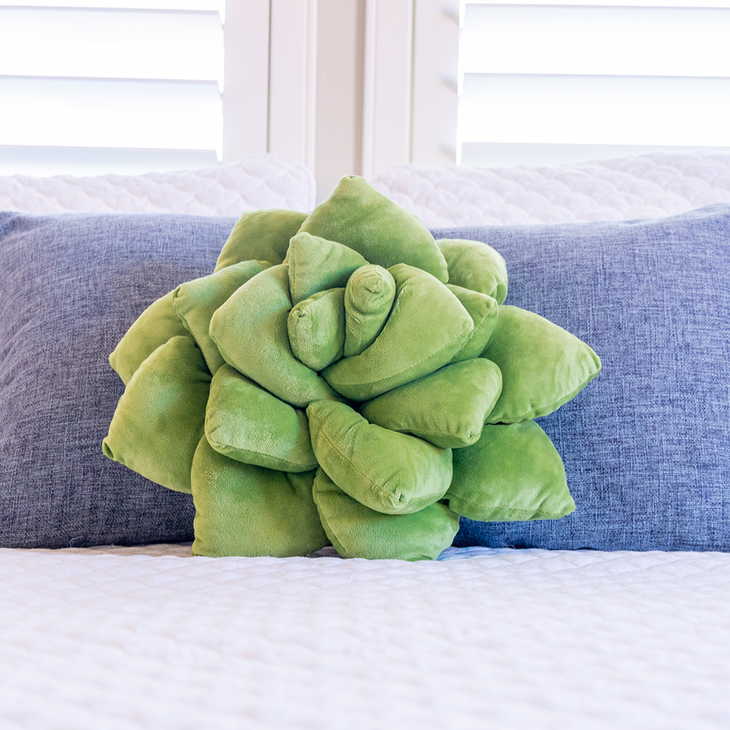 Lil' Pop Succulent®  - Olive Green