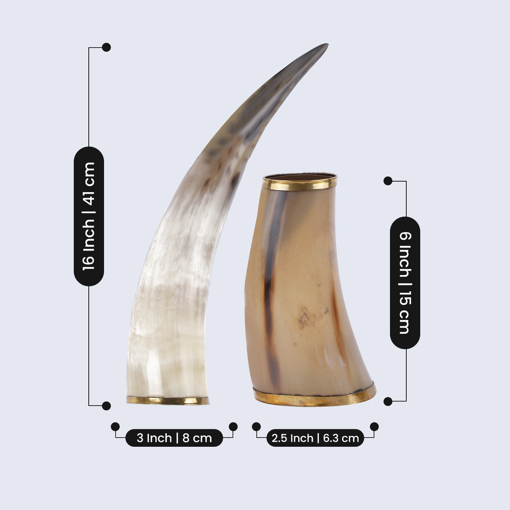 Drinking Horn with Stand - Holds Upto 16 oz, Metallic Finish