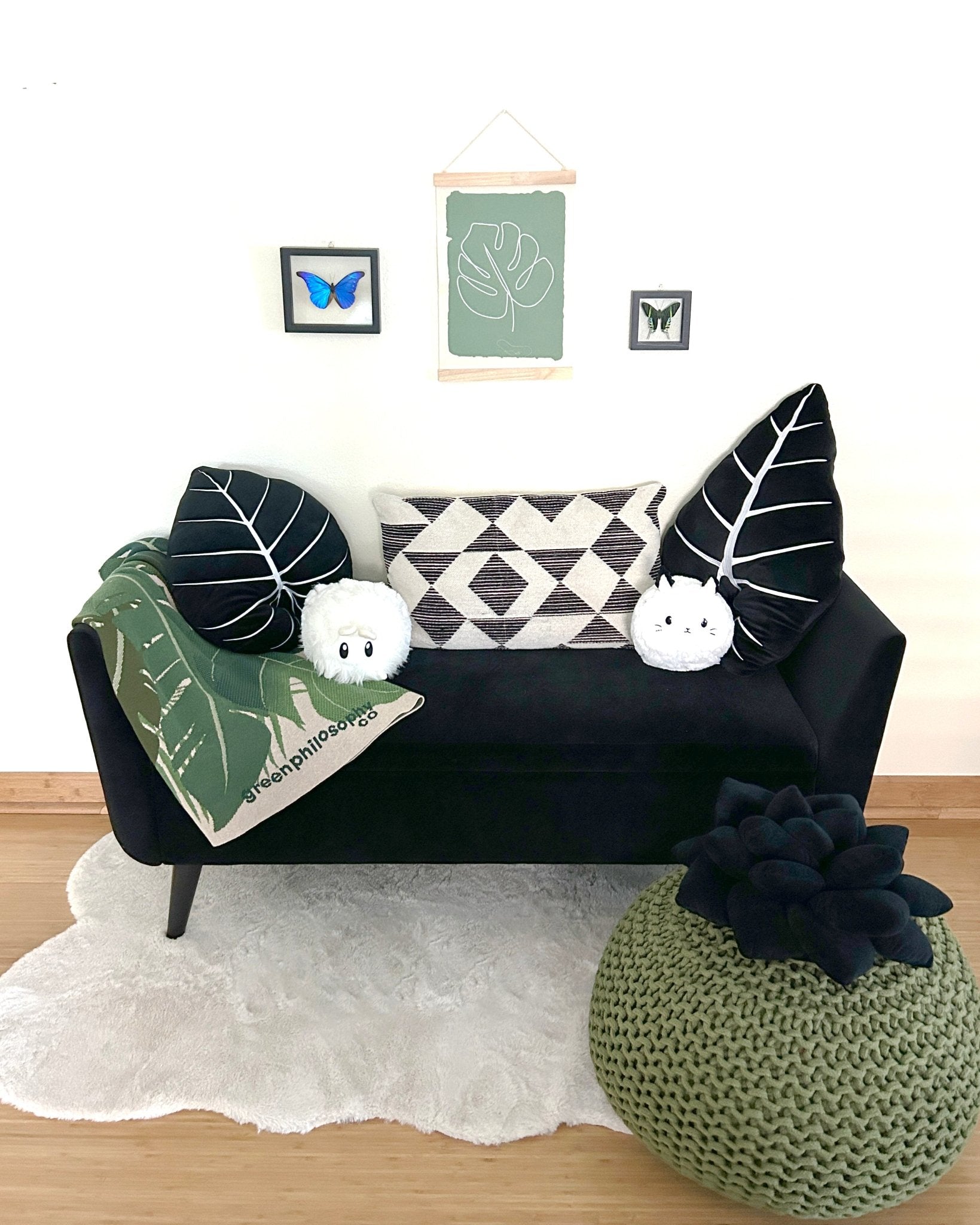 Alocasia Frydek - Obsidian