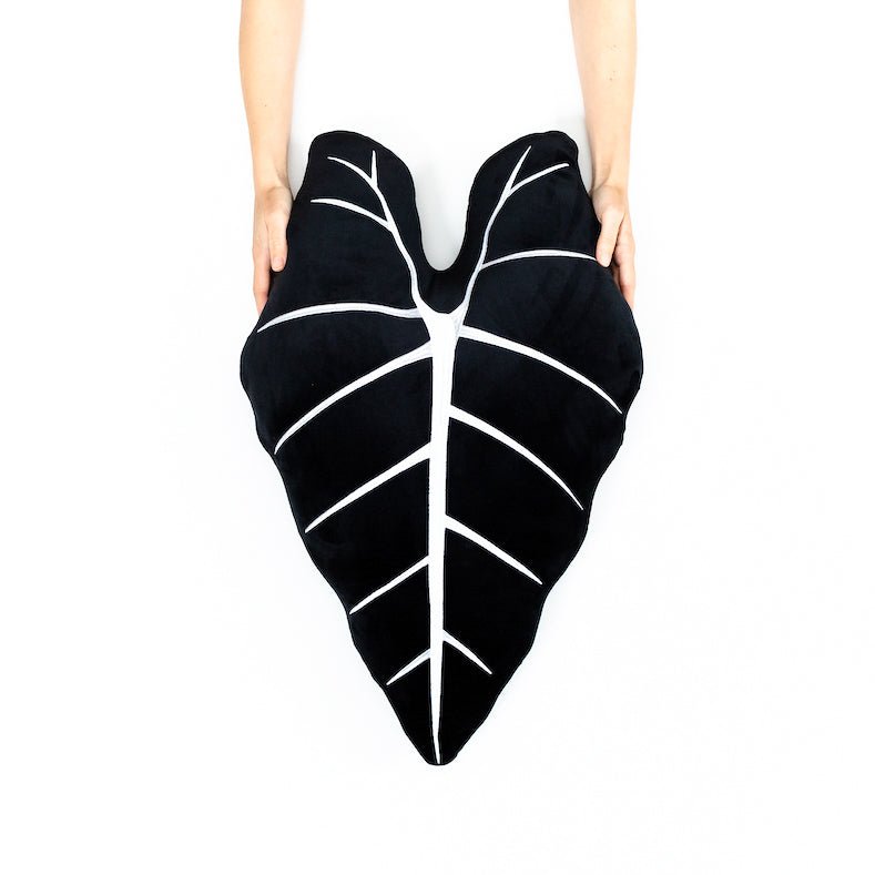 Alocasia Frydek - Obsidian
