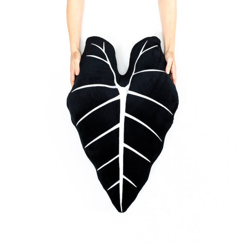 Alocasia Frydek - Obsidian