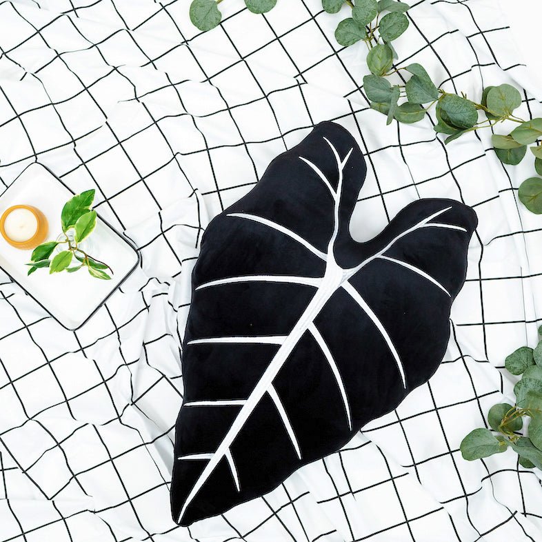 Alocasia Frydek - Obsidian