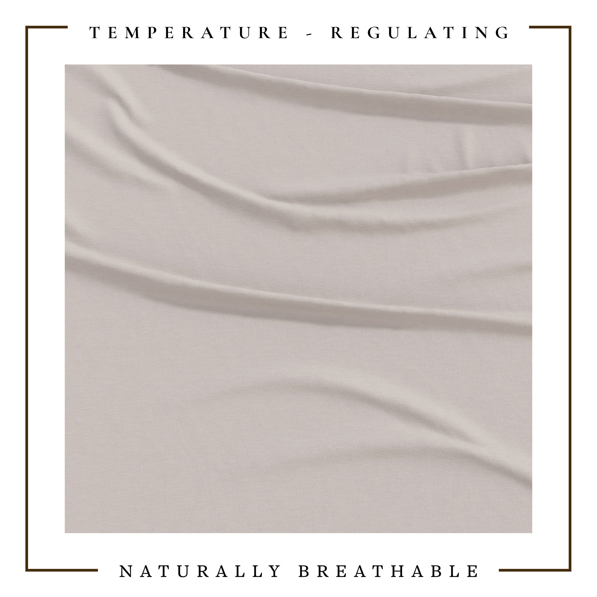 4-Piece Jersey Sheet - Carmen Collection