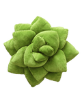 Big Pop Succulent® - Olive Green