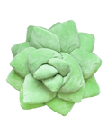 Big Pop Succulent® - Sage Green