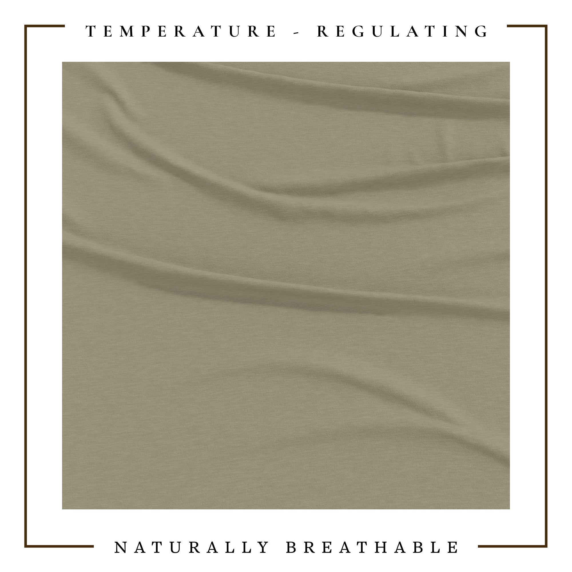 4-Piece Jersey Sheet - Carmen Collection