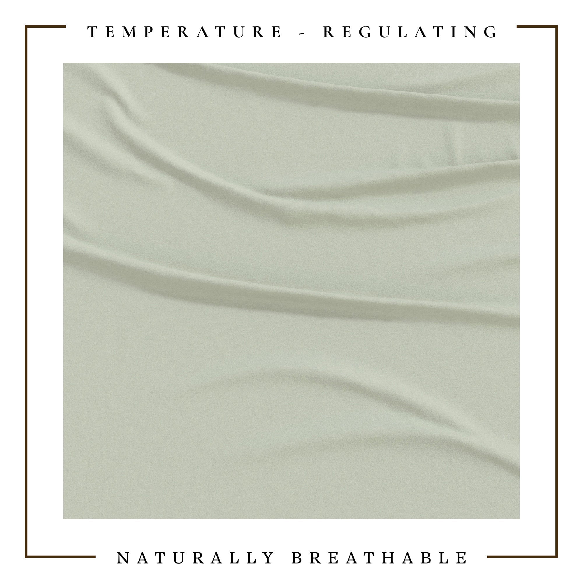 4-Piece Jersey Sheet - Carmen Collection