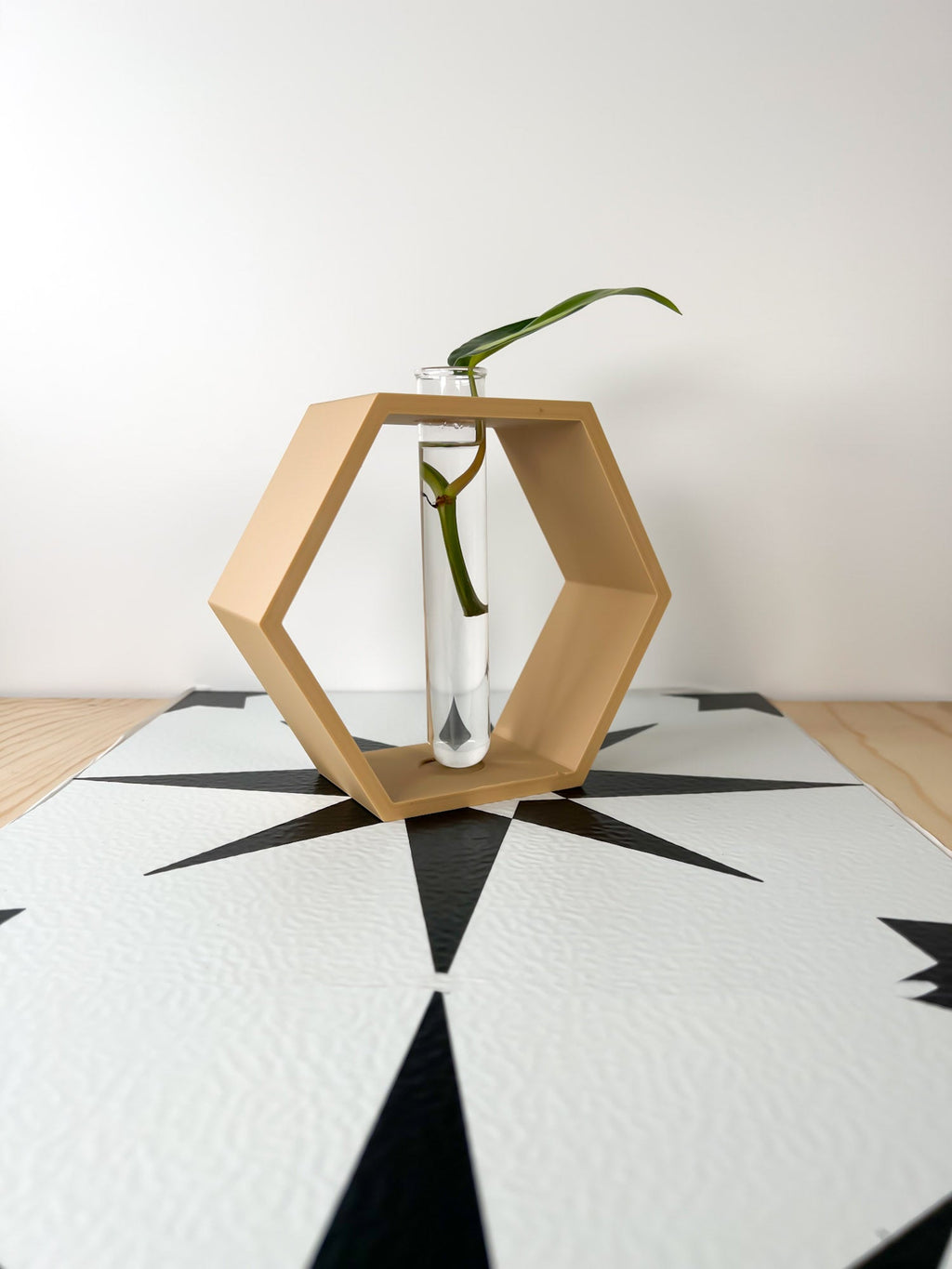 Hexagon Propagation Station