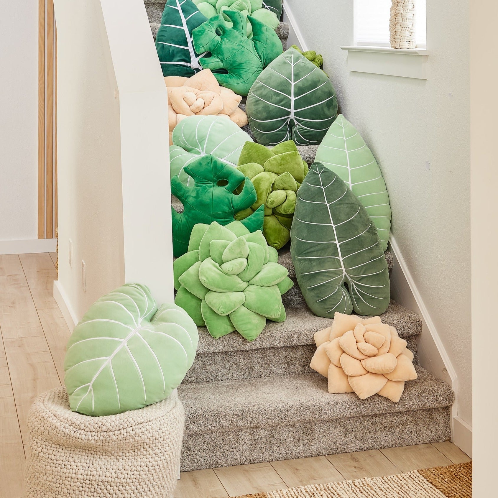Lil' Pop Succulent® - Blush Peach