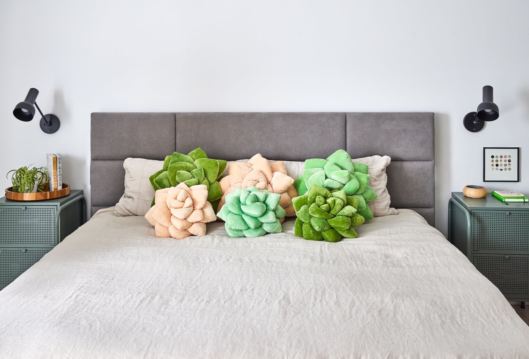 Lil' Pop Succulent® - Blush Peach