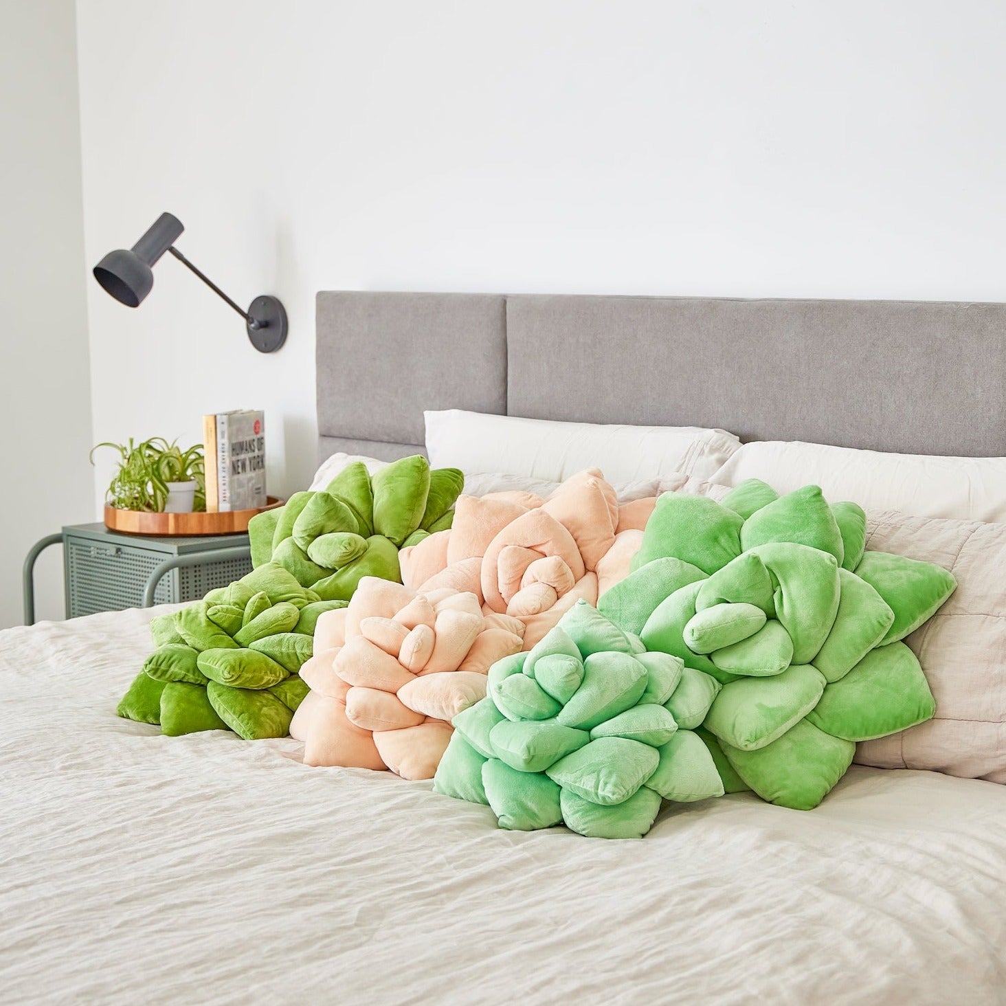 Lil' Pop Succulent®  - Sage Green