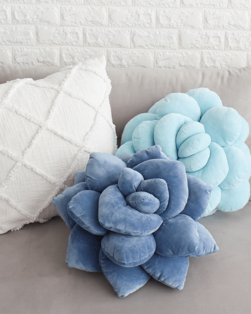 Lil' Pop Succulent® - Smokey Blue