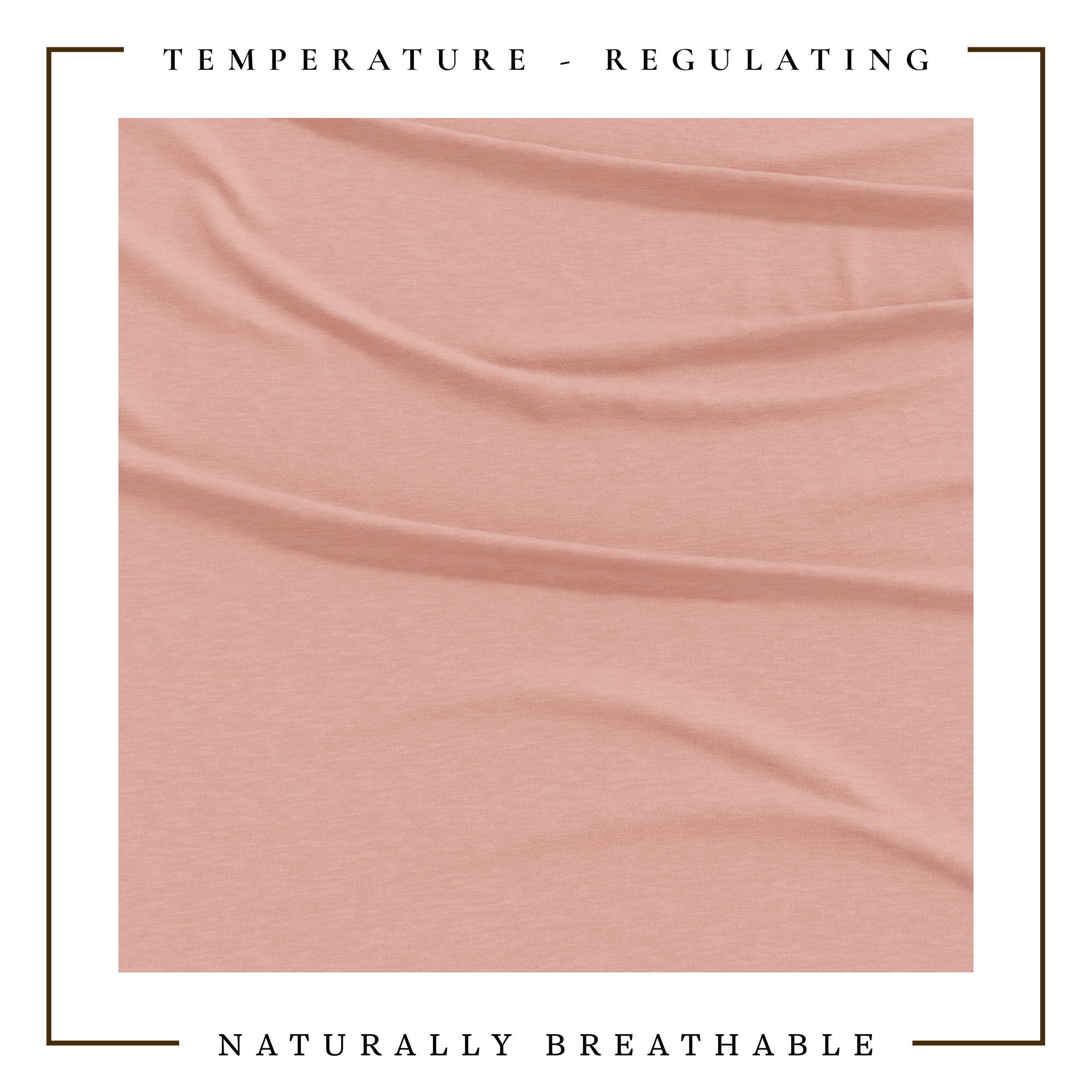 4-Piece Jersey Sheet - Carmen Collection