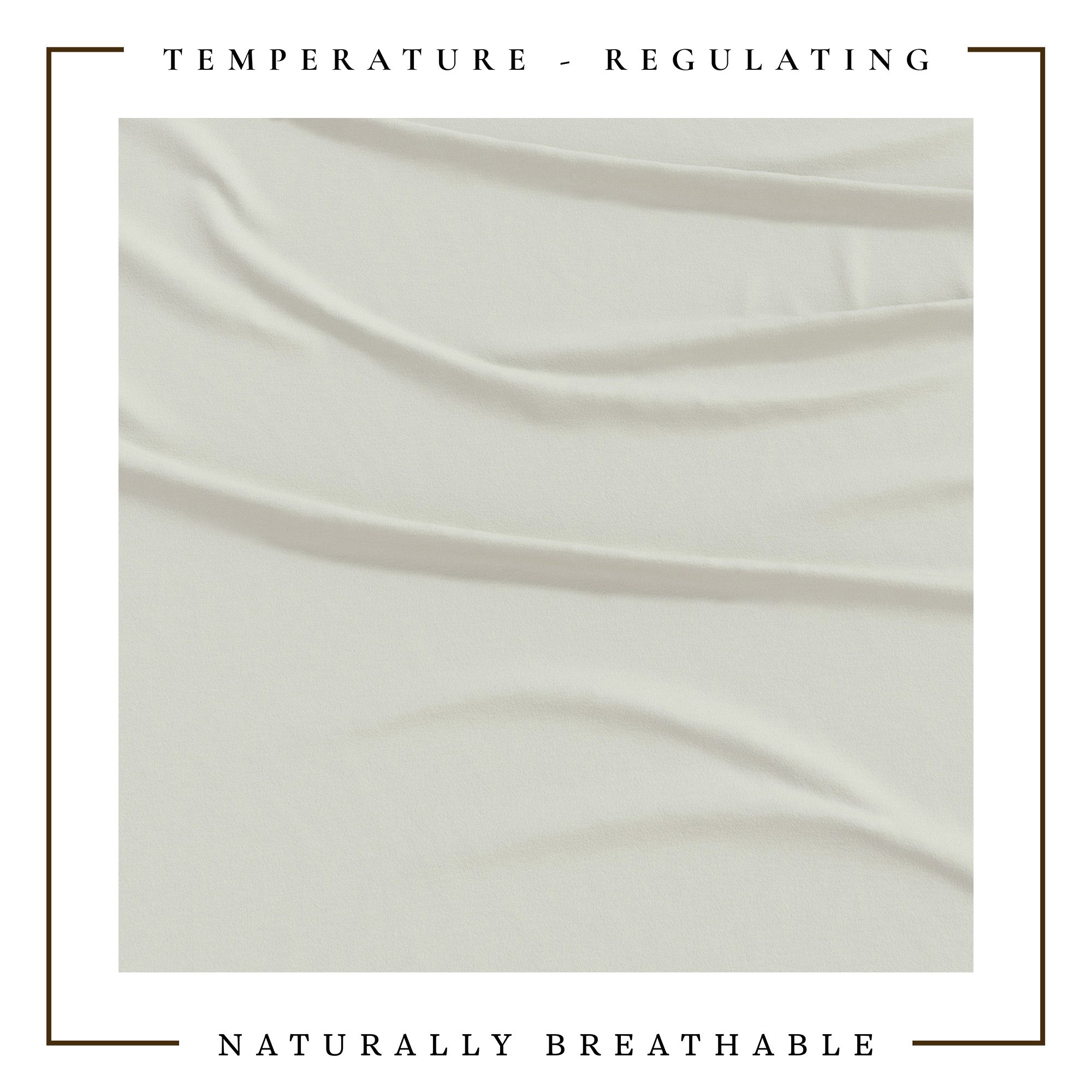 4-Piece Jersey Sheet - Carmen Collection