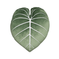 Philodendron Gloriosum Leaf Pillow - Moody Green