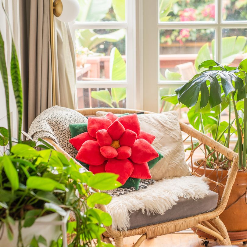 Poinsettia Pillow - Christmas Red