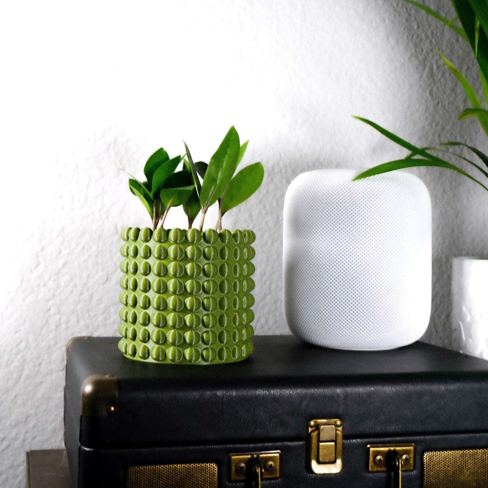 Ring of Pearls Planter Pot