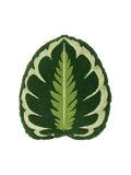 Tufted Calathea Medallion Leaf Pillow