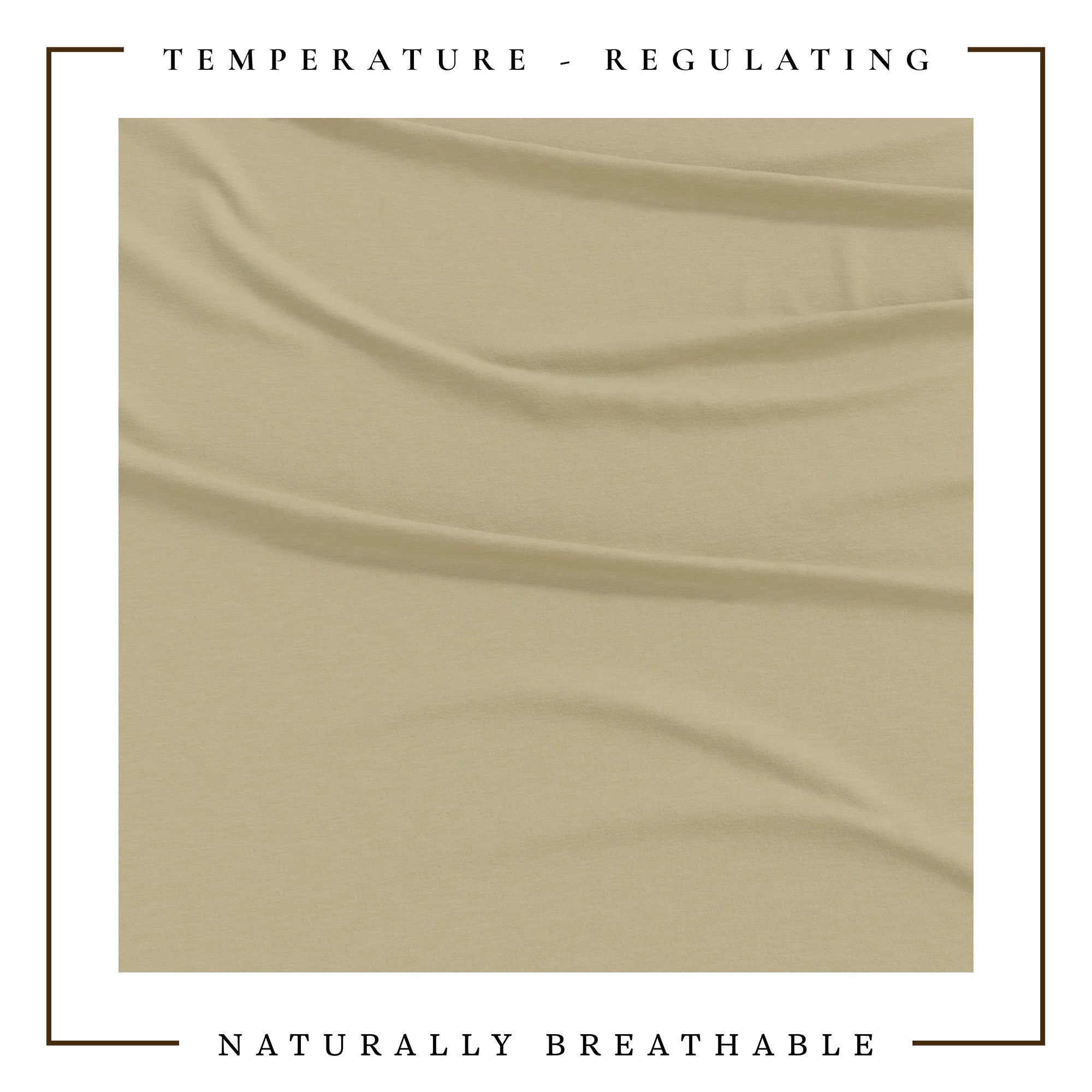 4-Piece Jersey Sheet - Carmen Collection