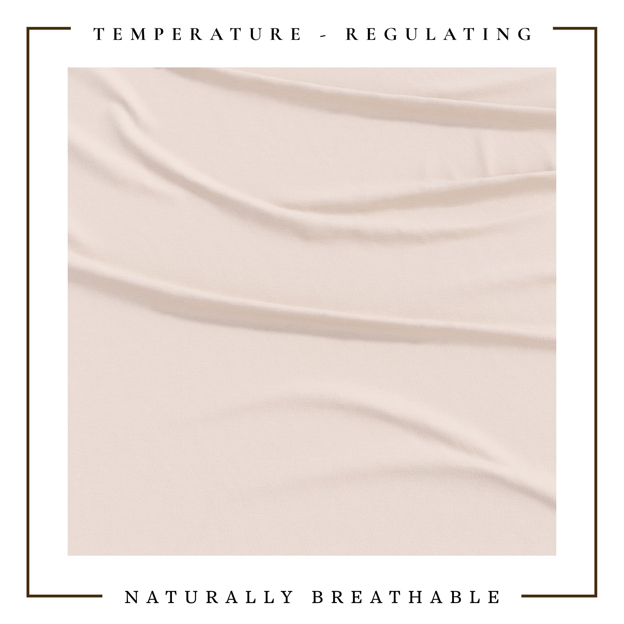 4-Piece Jersey Sheet - Carmen Collection